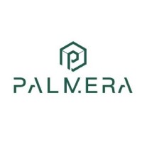 Palmera Motor logo - Similar company to Matrixflo