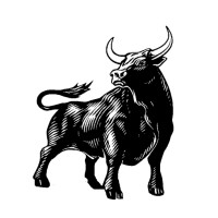 SIBBULL Capital logo - Similar company to Neco Finance