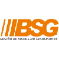 BSG CONSULTORES logo - Similar company to N12 | Educação, Estratégia E Negócios Em Supply Chain