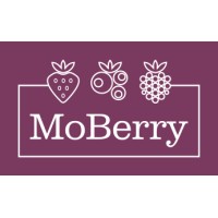 MoBerry.md logo - Similar company to Biateca