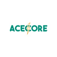 Acecore Incorporations logo - Similar company to Runteller