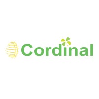 Cordinal Tech Solutions logo - Similar company to Azint Solutions