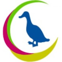 Nettapus Web Developer