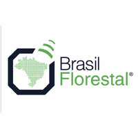 Brasil Florestal Gestão e Negócios S.A. logo - Similar company to Br Florestal