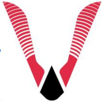 Veda IT Service logo - Similar company to Veda It