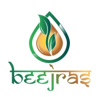 BeejRas logo - Similar company to Starvision Traders