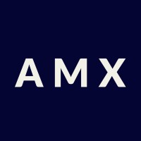 AMX Consulting logo - Similar company to Nanga Systems
