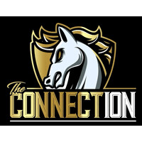 The Connection Consulting logo - Similar company to Rolling Raspberry Inc
