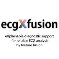 ecgXfusion logo - Similar company to Biosignal Processing Group