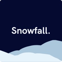 Snowfall. logo - Similar company to Cipherex
