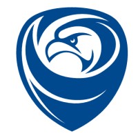 GSE SECURITY logo - Similar company to Need Work