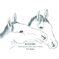 Associazione Salto Oltre il Muro Asd - Centro studi relazione uomo cavallo Onlus logo - Similar company to Seconda Chance