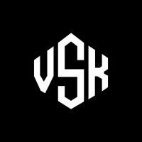 Versolixsmkrr logo - Similar company to Tfa Dostmann Gmbh & Co. Kg