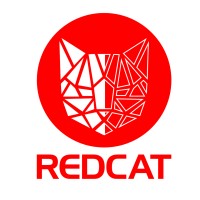 RedCat IT Outsourcing logo - Similar company to Alariy