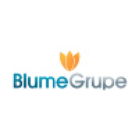 BlumeGrupe logo - Similar company to Construminas Acabamentos
