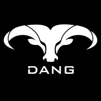 Dang Steels logo - Similar company to Wuhan University Of Science And Technology
