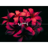 'Umi bulle de création graphique'