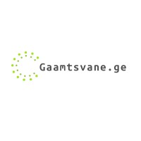 Gaamtsvane logo - Similar company to Vdc • ვი დი სი