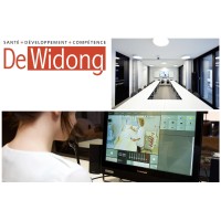 DeWidong logo - Similar company to Custom Coding