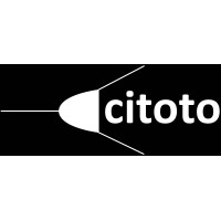 citoto logo - Similar company to Bitmanity