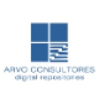 Arvo Consultores logo - Similar company to Bitlabs