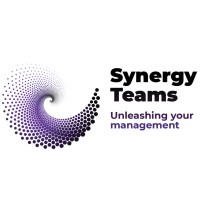 Synergy Teams Org logo - Similar company to The Synergy Organization