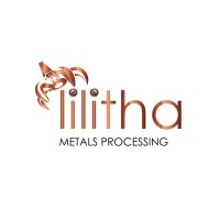 Lilitha Metals Processing logo - Similar company to Branch Metal Processing Corp