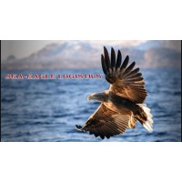 Sea-Eagle Logistics logo - Similar company to The Talent Engine