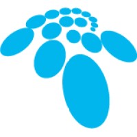 539 IT Consulting logo - Similar company to It Technical Solutions