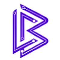 Bitwork Labs logo - Similar company to Ice Technology Lab