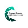 Pinpoint Pictures Video Production Co. logo - Similar company to Devoted Films Ltd