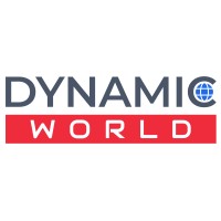Dynamic World logo - Similar company to Srs Fabrics
