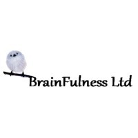 BrainFulness logo - Similar company to Eye Minders