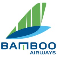 Bamboo Airways logo - Similar company to Alchemy Technologies Ltd