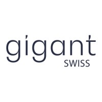 Gigant Swiss Consulting AG logo - Similar company to Gigant Customized Investment Portfolio