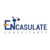 Encasulate Consultancy Inc logo - Similar company to Riverstreamz
