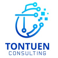 Tontuen Consulting logo - Similar company to Calgary Br Tech
