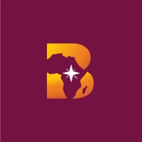 Bright Lights for Africa logo - Similar company to Conbato Gmbh