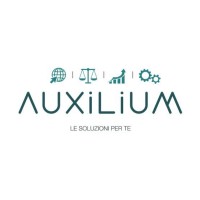 AUXILIUM SRL logo - Similar company to Axilium