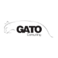 Gato Consulting / Cv Partners