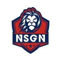 Next-Play Sports Global Network logo - Similar company to Pdf Sports Network