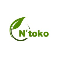 N'toko Organic Lda logo - Similar company to Google Business Group Lagos