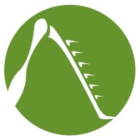Grasshopper logo - Similar company to Studio Tim Fu