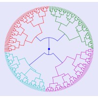 NSF Data Science Program at CSUN logo - Similar company to Felsen Network