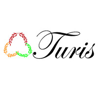 TURIS Organización Estudiantil logo - Similar company to Aida Upn