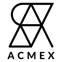 Acmex.co logo - Similar company to Codeneuron Technologies Private Limited