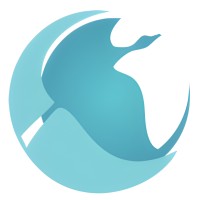 IBIS GROUP logo - Similar company to Proftech Solutions