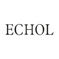 Echol logo - Similar company to Pixelab