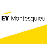 EY Montesquieu logo - Similar company to Online Reclamebureau Social Circus