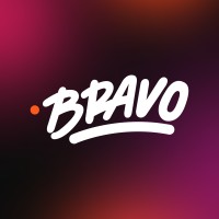 Bravo logo - Similar company to Dl Ssr Infotech